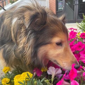 Meet your Posher, Chantal